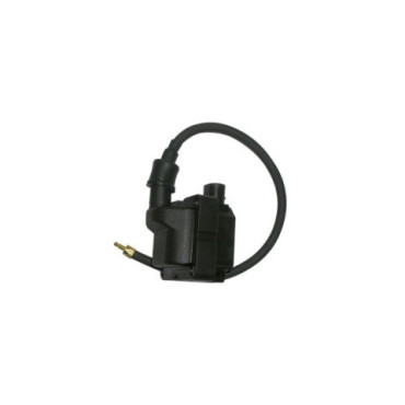 BOBINA ALTA TENSIONE 12V - c.c. - C/CAVO - CONNETTORE 2 PIN PER APRILIA 125/150 SCARABEO IE