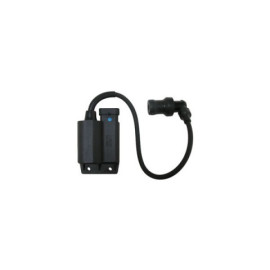 CENTRALINA ELETTRONICA CDI  per PIAGGIO FLY 4T - APRILIA Scarabeo 100 4T