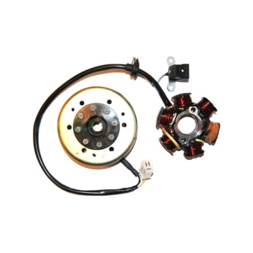 Volano kokusan completo 6 poli per motori PEUGEOT 50 2T 50 SPEEDFIGHT 3 LC ICE BLADE 2T (11/13) - 50 SPEEDFIGHT 3 LC DARK SIDE 2T (11/13)