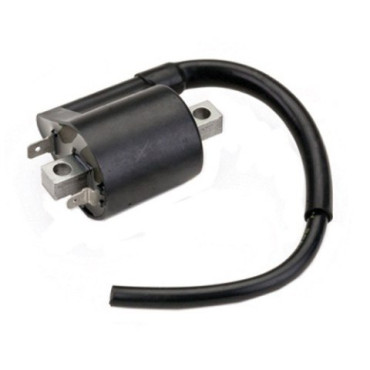 Bobina 12V-CC 2,8 OhM - 2 pin - int. fori 60 mm per YAMAHA X-MAX125/250/400-XCITY