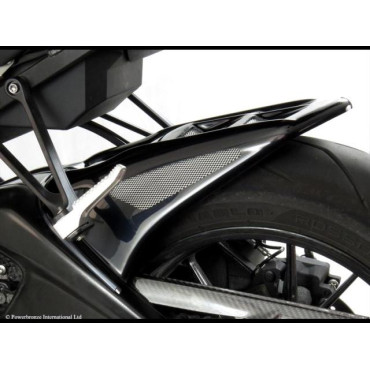 PARAFANGO POSTERIORE IN ABS per BMW S 1000 RR (2016-2017)