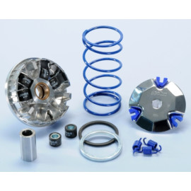 VARIATORE POLINI MAXI HI-SPEED PER APRILIA SCARABEO 50 4T LIBERTY 50 4T
