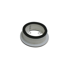 Filtro Aria Tipo Originale CARTER DX T-MAX 530 (2012-2018)
