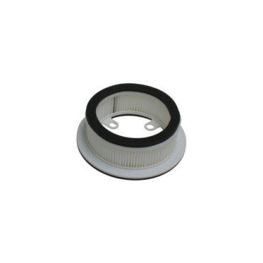 Filtro Aria Tipo Originale CARTER DX T-MAX 530 (2012-2018)