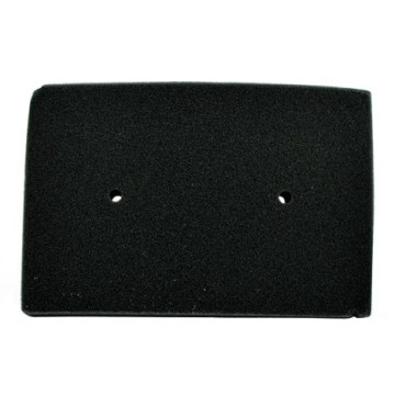 Filtro Aria Tipo Originale per KAWASAKI NINJIA 250R (2008-2011)