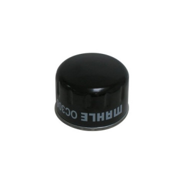 FILTRO OLIO MAHLE (OC306) BMW R1200 BMW C Sport 600 - F GS 800 - HP2 1200 - R NINE T 1200 - K GT/ GTL 1600 - PRIMO EQUIPAGGIAMENTO - FILTRO OLIO MAHLE (OC306) BMW R1200 BMW C Sport 600 - F GS 800 - HP2 1200 - R NINE T 1200 - K GT/ GTL 1600 - PRIMO EQUIPAGGIAMENTO -