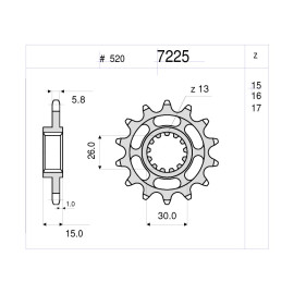 PIGNONE IN ACCIAIO CEMENTATO DA 15 DENTI  per BMW S 1000 RR / ABS / HP4 (2009-2013) PIGNONE ALLEGGERITO PASSO 525