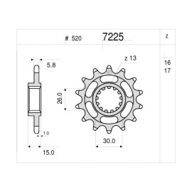 Kit GP Racing DID Passo 520, Pignone 17, Corona 45 Denti, Catena  520 ERV3 G&G 120 MAGLIE per BMWS 1000 R (2014) - S 1000 RR (2015)