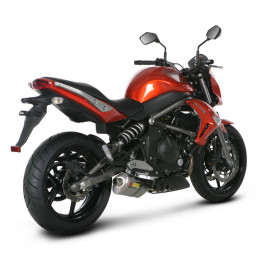 Terminale di scarico Akrapovic SPLIT-ON SP Ovale Inox / Titanio con DB-Killer NON Omologato KAWASAKI ER-6 N / F / ABS (2009/2011) CUP