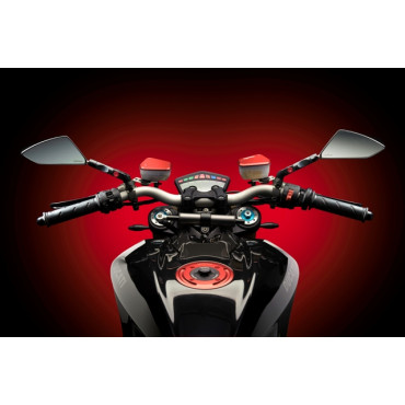 Coperchio Pompa  FRENO ANTERIORE in Ergal LIGHTECH per HONDA CBR 1000 RR (2004/2005)