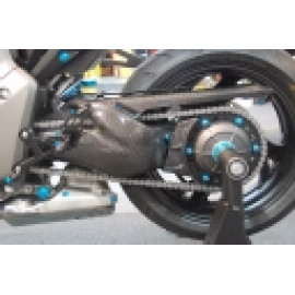 Protezione Corona in Carbonio LIGHTECH per HONDA CB 1000 R (2008/2015)