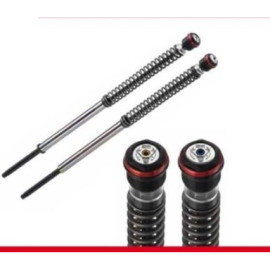 Cartucce Forcella