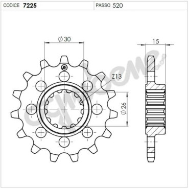 Pignone passo 520 denti17 per BMW  S 1000 RR