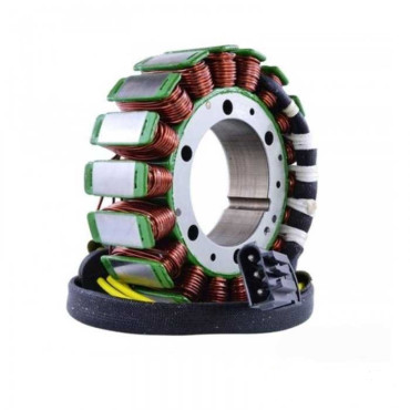 STATORE BMW F 650 700 800 (2007-2014) STATORE BMW F 650 700 800 (2007-2014)