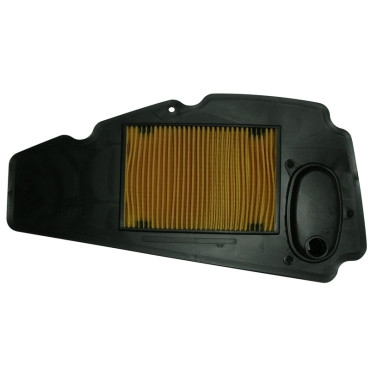 Filtro Aria Tipo Originale HONDA FORZA 250 (2005-2007)