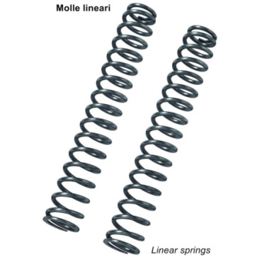 Kit Molle Forcella Lineari BITUBO K=0.9 completo di Olio Specifico SILKOLENE per  KAWASAKI ZX 10R (2011/2013)
