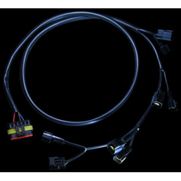 Kit di connessione Plug and Paly per Power Shift NRG su moto giapponesi 4 cilindri iniezione Kit di connessione Plug and Paly per Power Shift NRG su moto giapponesi 4 cilindri iniezione