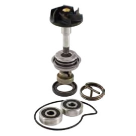Kit Revisione Pompa Acqua Motore RMS per PIAGGIO BEVERLY 300 (2009/2010) - CARNABY 300 (2009/2010) - MP3 300 LT / MIC (2010) - VESPA 300 GTS SUPER IE (2008/2009) - X7 EVO 300 (2009/2010)