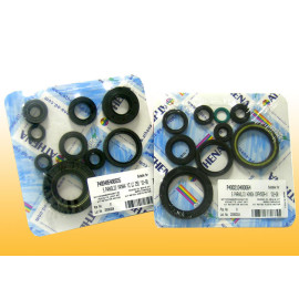 Serie paraoli Albero motore per Aprilia scarabeo malaguti Pz.10