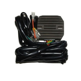 Regolatore di tensione ELECTROSPORT per BMW R80/100GS - MOTO GUZZI V1000 CALIFORNIA II
