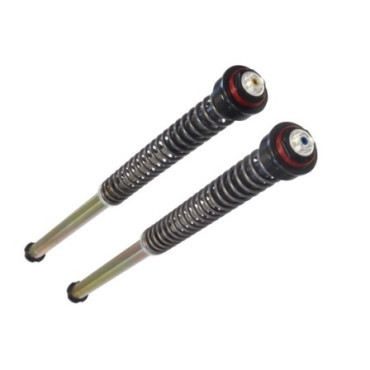 Cartucce forcella pressurizzate BITUBO precarico molla manuale. Anello ROSSO per YAMAHA T-MAX 530 (2017>)