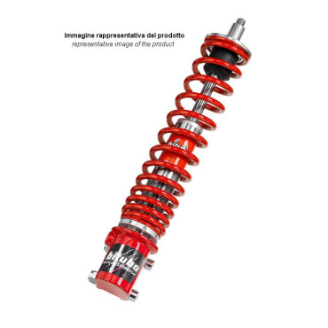 Mono Ammortizzatore Anteriore Bitubo YEB 01 per PEUGEOT SPEEDFIGHT 50 AIR (1999) - SPEEDFIGHT 50 H2O (1997/1998) - SPEEDFIGHT 100 (1997/2000)