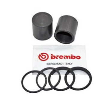 KIT REVISIONE GUARNIZIONE PINZE SL2 28