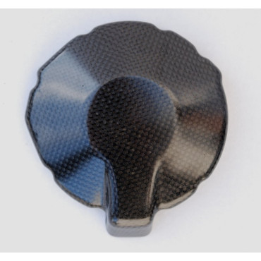 COPERCHIO ALTERNATORE IN CARBONIO LIGHTECH KAWASAKI ZX 6 (07-08)