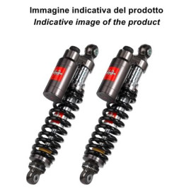 Coppia di ammortizzatori posteriore Bitubo WMT 03 per HARLEY-DAVIDSON XL 1200 V SEVENTY TWO (10-13) - ELECTRA GLIDE (73-84) - EL. GLIDE CLASSIC (80-84) - LOW RIDER (80-84) - LOW RIDER CUSTOM (87-94) - STURGIS (80-82) - STREET BOB (07-13)