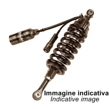Bitubo - Mono ammortizzatore posteriore CYU31 V2 Mono stradale High Performance per BMW F 800 GS (2013-2014)