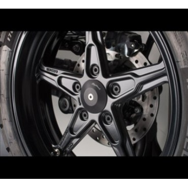 Tappo Ruota Posteriore Lato SX Telaio per BMW R-NINET SCRAMBLER (2016-2017)