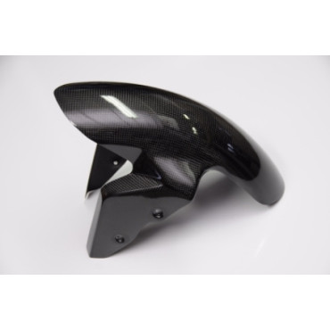 Parafango in Carbonio lucido LIGHTECH per BMW S 1000 RR (2009-2017>) - S 1000 R (2014-2017>)