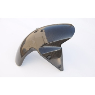 Parafango Anteriore in Carbonio LIGHTECH per KAWASAKI Z 750 (2007-2012)