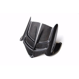Parafango Posteriore in carbonio LIGHTECH per KAWASAKI ZX6 R (2009-2015)