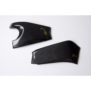Protezioni Forcellone in Carbonio LIGHTECH per KAWASAKI ZX6 R (2009-2015)