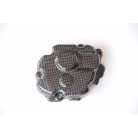 Coperchio Pick up in Carbonio LIGHTECH per KAWASAKI ZX10 R (2011-2016)