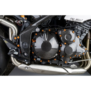 COPERCHIO STARTER CARBONIO per TRIUMPH SPEED TRIPLE 1050 (2011-2015)