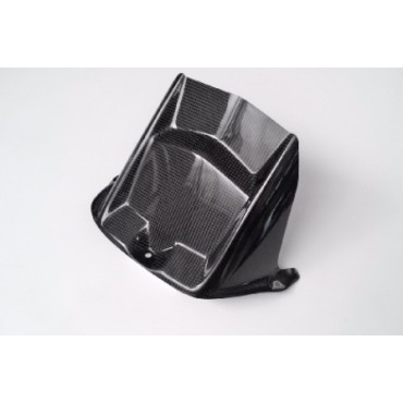 Parafango Posteriore in carbonio LIGHTECH per YAMAHA YZF R6 (06-16>)