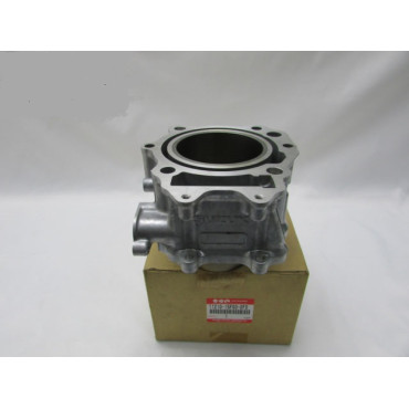 Gruppo Termico Cilindro ORIGINALE per Suzuki Burgman 400 (2007-2018) Gruppo Termico Cilindro ORIGINALE per Suzuki Burgman 400 (2007-2018)
