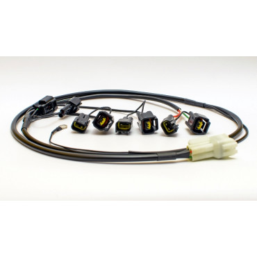 Cambio Elettronico HEALTECH >> QSE - Kit Cablaggio PER BMW K 1600 GT - K 1600 GT Sport - K 1600 GTL