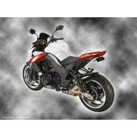 Parafango Posteriore CARBON LOOK-SILVER MESH per KAWASAKI Z1000 (10-13) / Z1000SX (11-13)