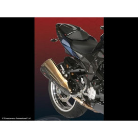Parafango Posteriore CARBONIO - RETINA ORO per KAWASAKI Z1000 (07-09)
