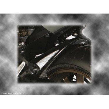 Parafango Posteriore CARBON LOOK-GOLD MESH per KAWASAKI ZZR1400 (06-11) / ZX-14R (06-11) (V4-0709 (ABS & NON ABS)