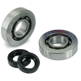 CUSCINETTI BANCO COMPLETO DI PARAOLI per HONDA PANTHEON - DYLAN - SH 125/150 4T