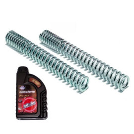 Kit Molle Forcella BITUBO completo di Olio Specifico SILKOLENE per SUZUKI AN BURGMAN 400 K7 / K8 / K9 (2006/2010)