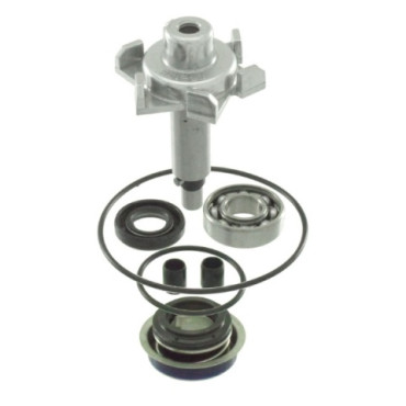Kit revisione Pompa Acqua per HONDA PCX 125 - 150