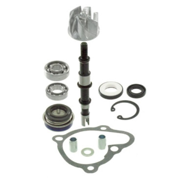 Kit revisione Pompa Acqua per KYMCO X-CITING 250 - 300