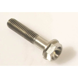 Vite con Testa Esagonale in Titanio Grado 5 M5 Lunghezza 30mm
