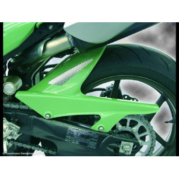 Parafango Posteriore  Colore CARBONIO - RETINA ARGENTO per KAWASAKI ZX10-R (06-07)