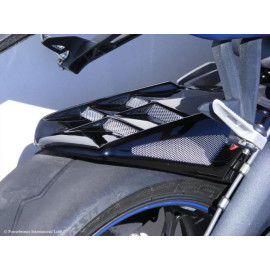 PARAFANGO POSTERIORE colore CARBON LOOK-SILVER MESH TRIUMPH DAYTONA 675 (13>)